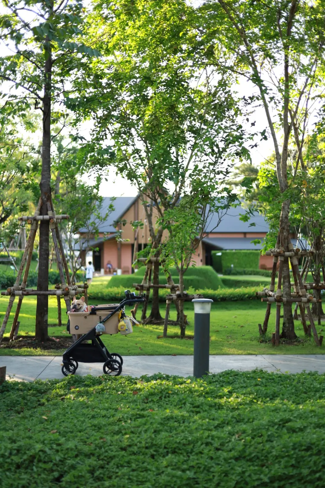 สวนเปรมประชาวนารักษ์ ambiance image 1