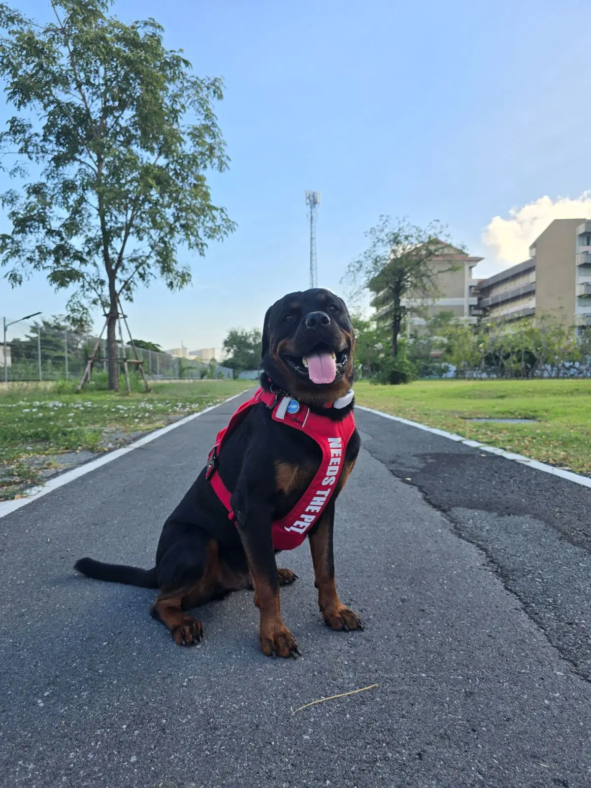 สวนเปรมประชาวนารักษ์ pets image 13