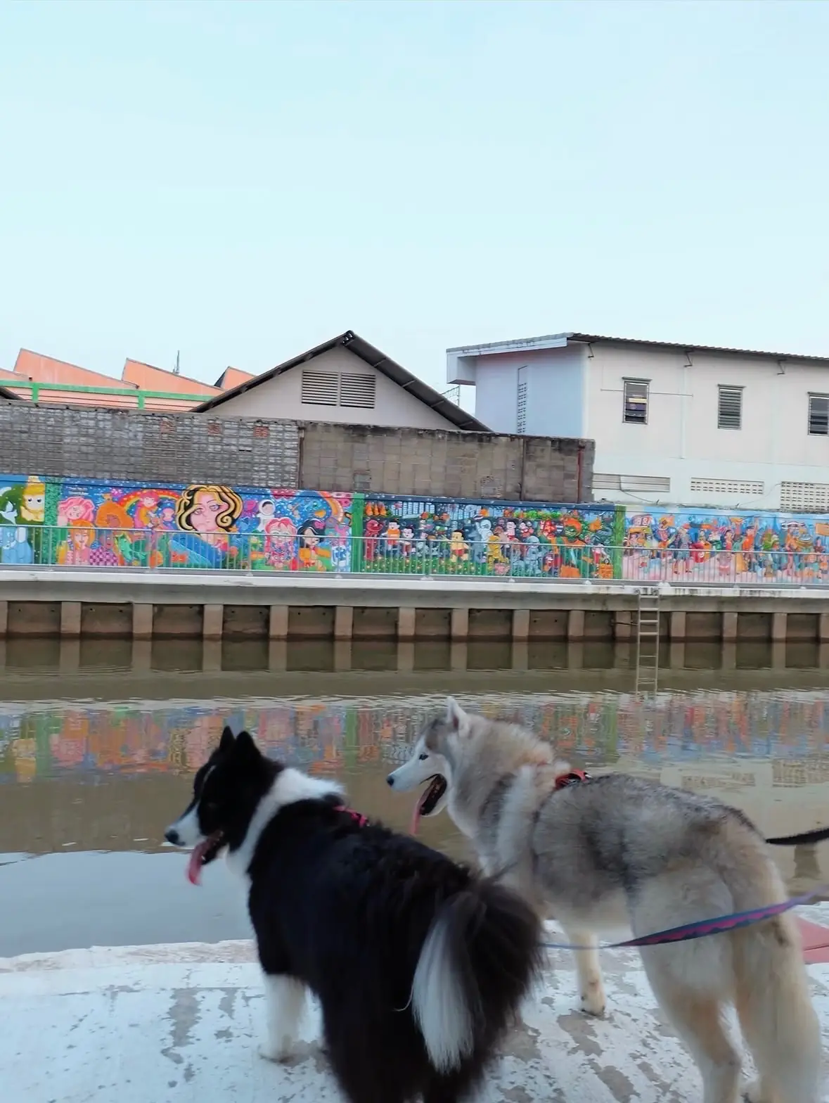 สวนเปรมประชาวนารักษ์ pets image 19