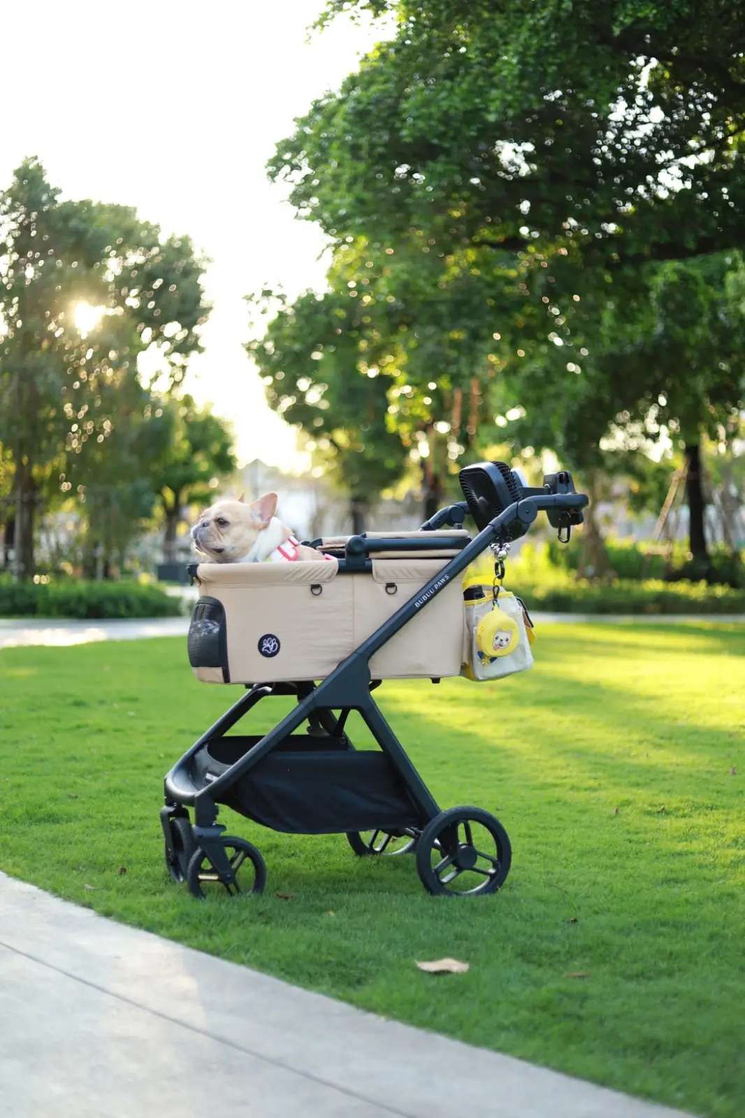 สวนเปรมประชาวนารักษ์ pets image 2