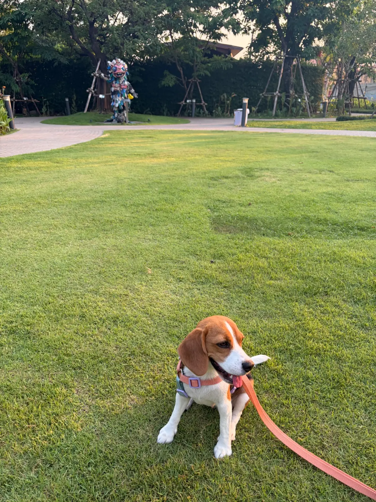 สวนเปรมประชาวนารักษ์ pets image 4