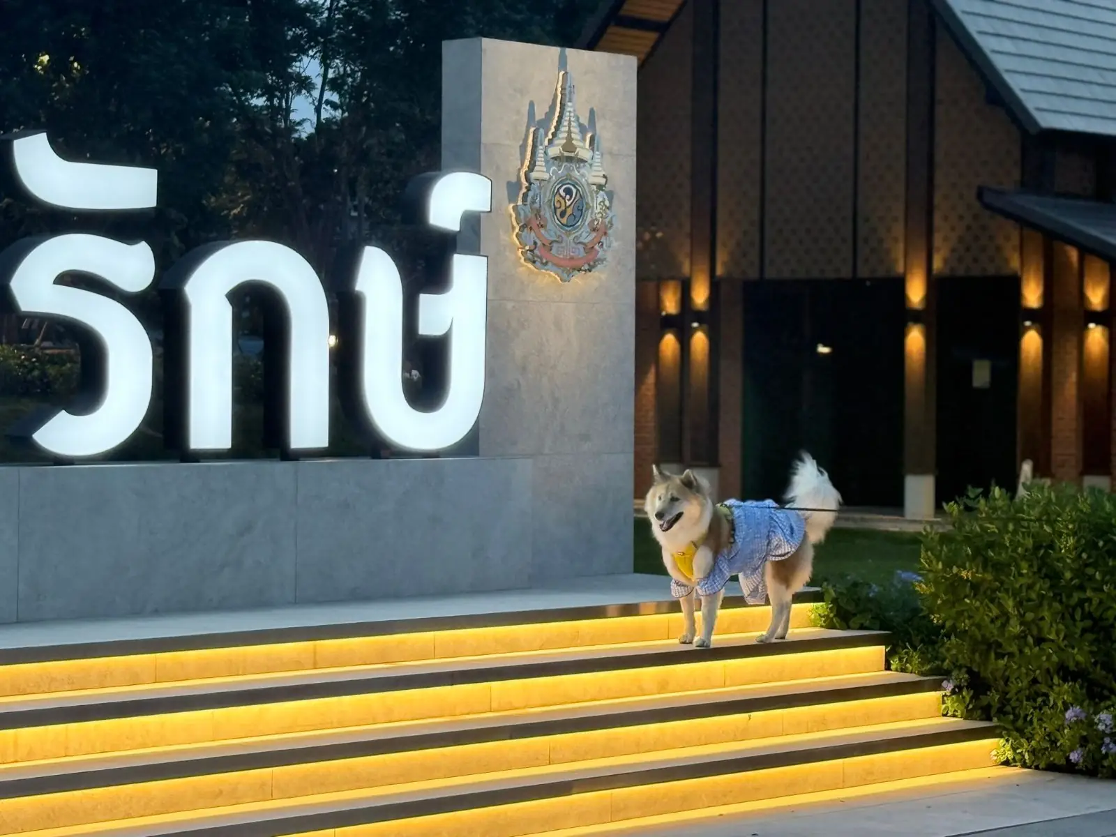 สวนเปรมประชาวนารักษ์ pets image 5