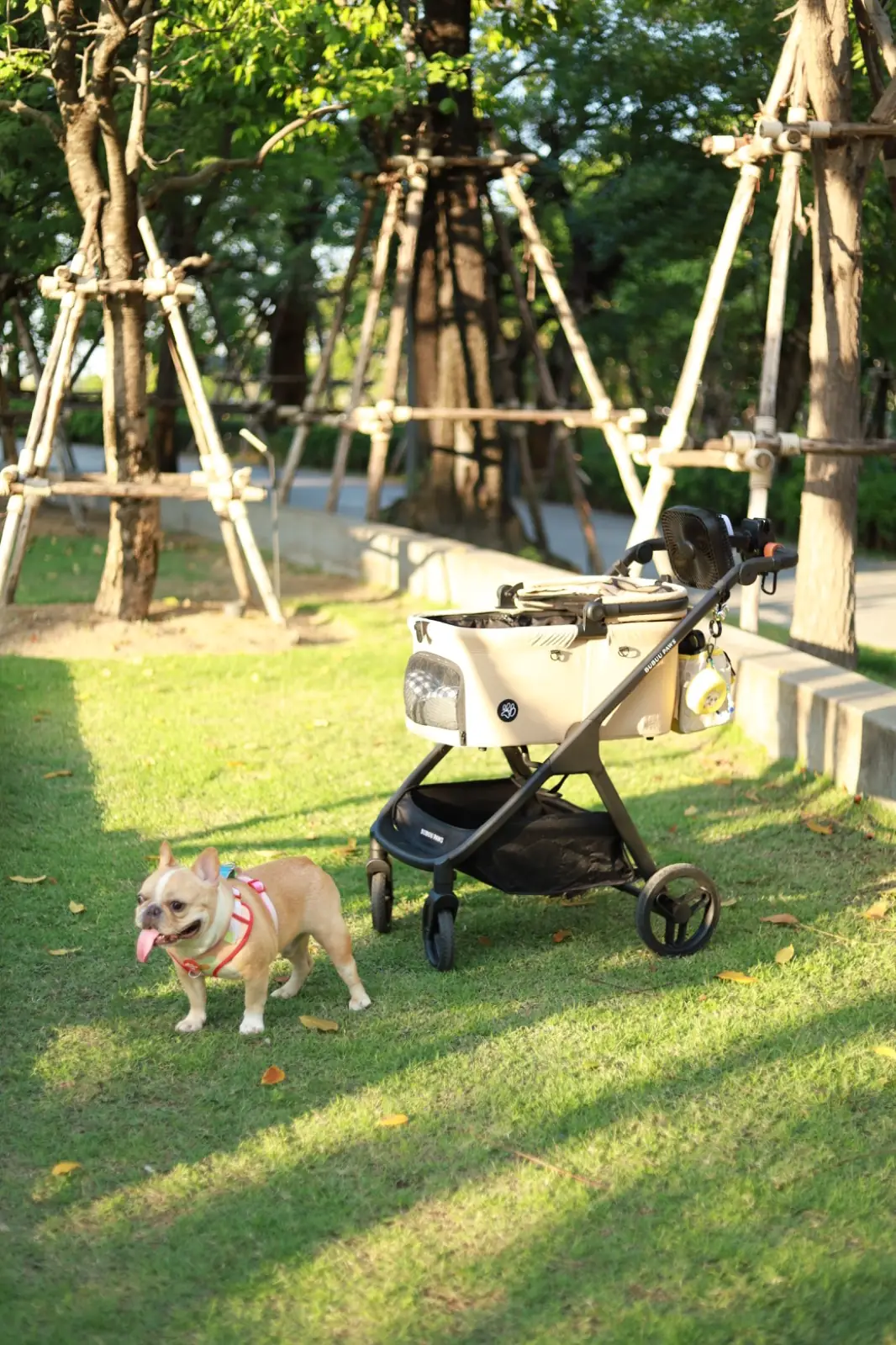 สวนเปรมประชาวนารักษ์ pets image 1