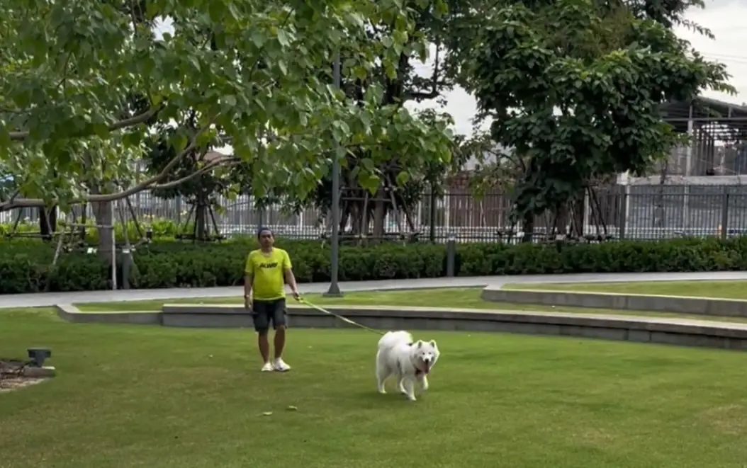 สวนเปรมประชาวนารักษ์ pets image 11