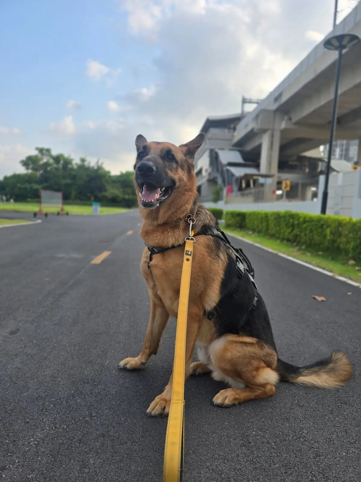สวนเปรมประชาวนารักษ์ pets image 14