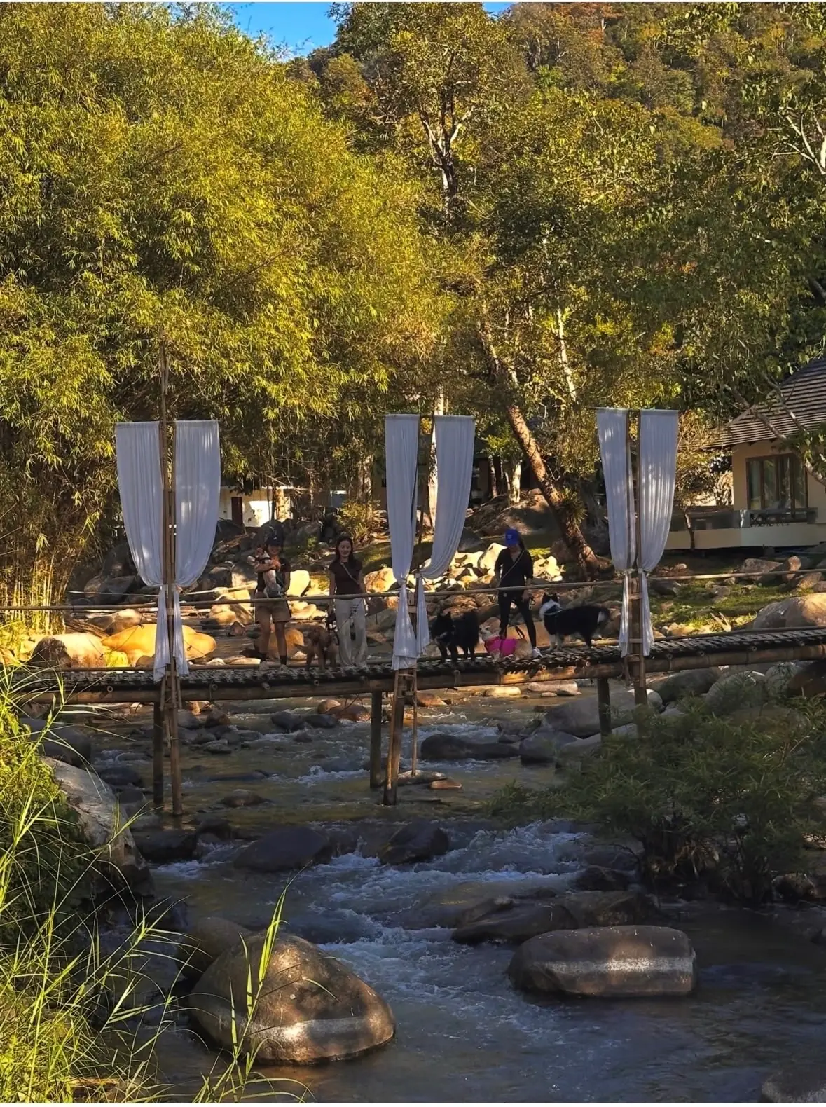 Tara Valley amenities image 1