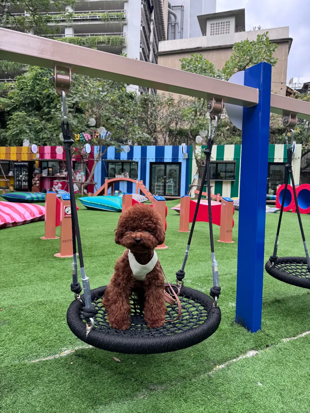 PAWYARD at EM DISTRICT pets image 1