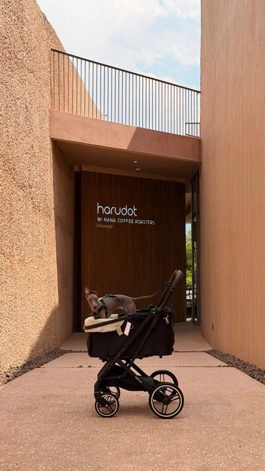 Harudot Chonburi by Nana Coffee Roasters overall image 1