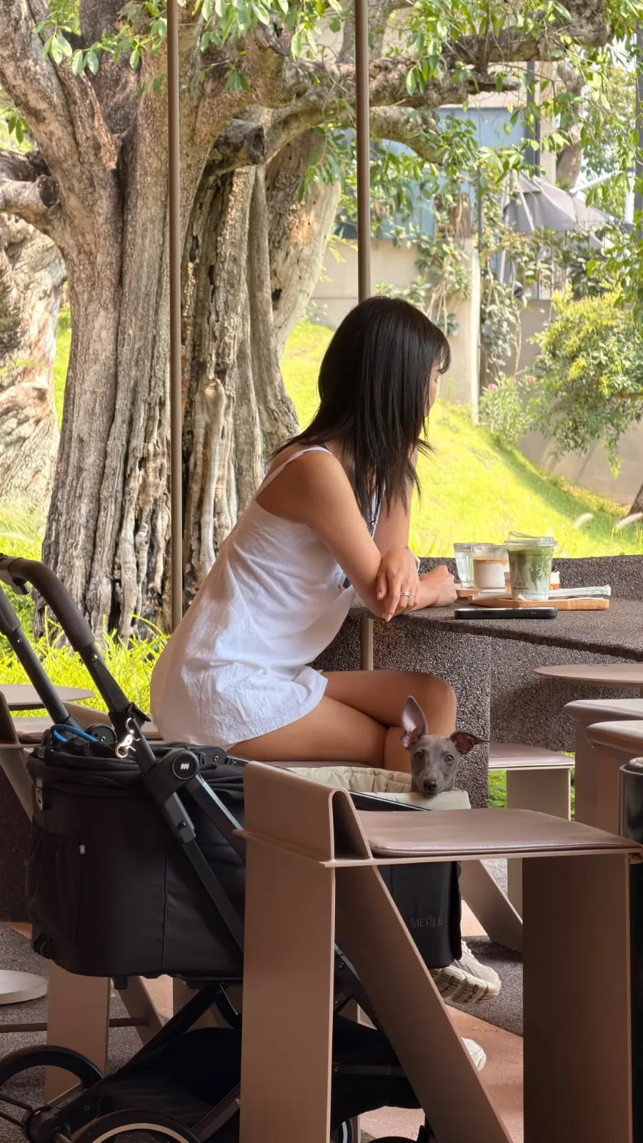 Harudot Chonburi by Nana Coffee Roasters pets image 1