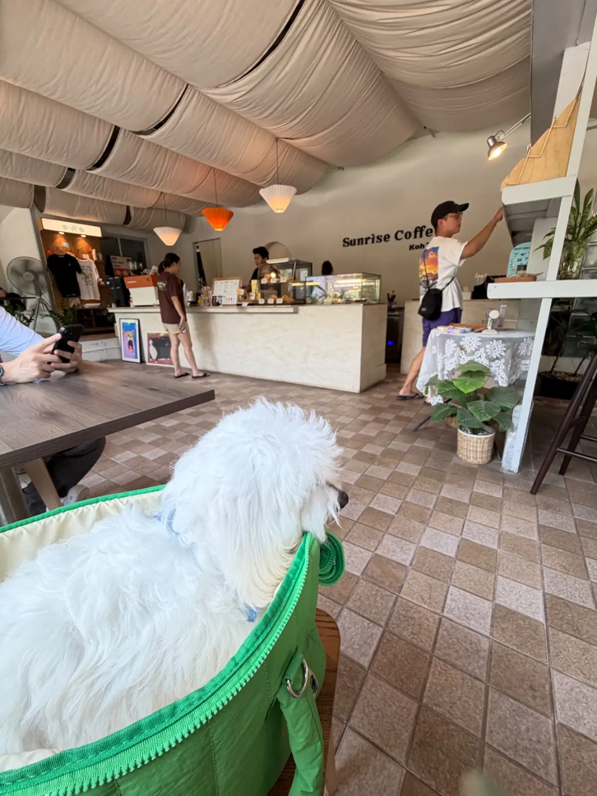 Sunrise Specialty Coffee pets image 1