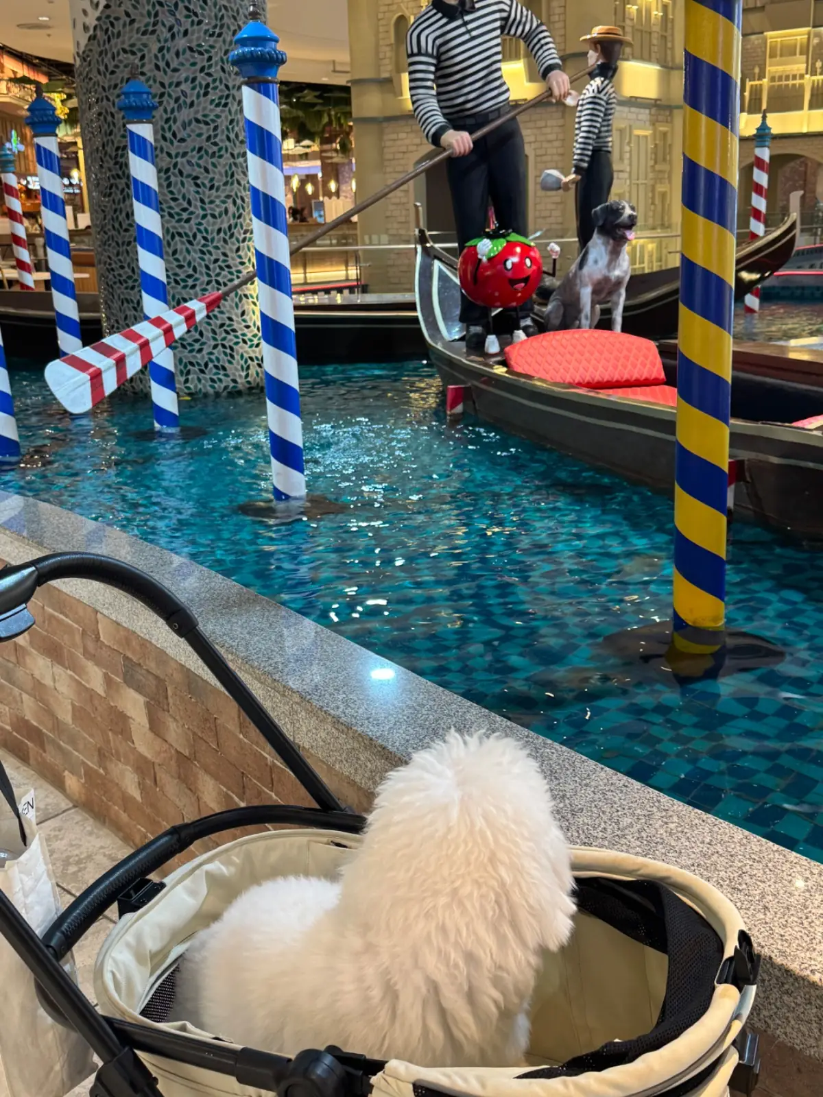 See Fah - Terminal 21 Rama3 pets image 1