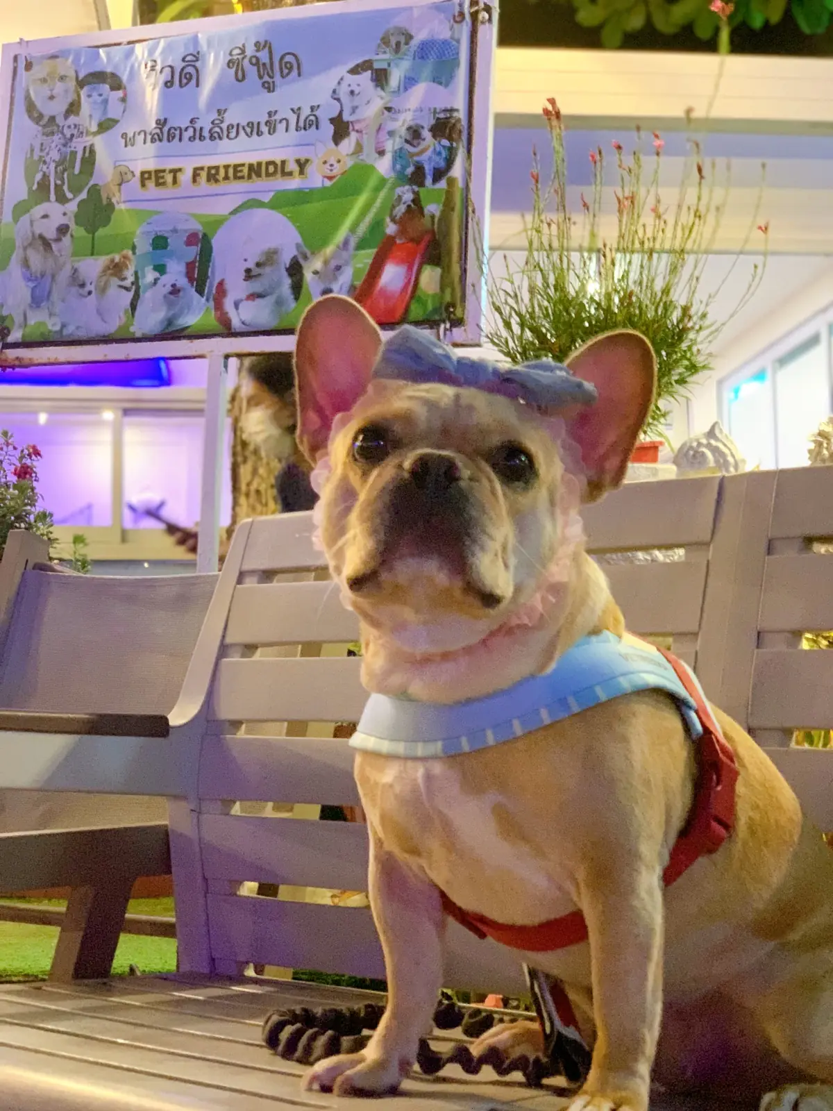 View D Seafood other image 1