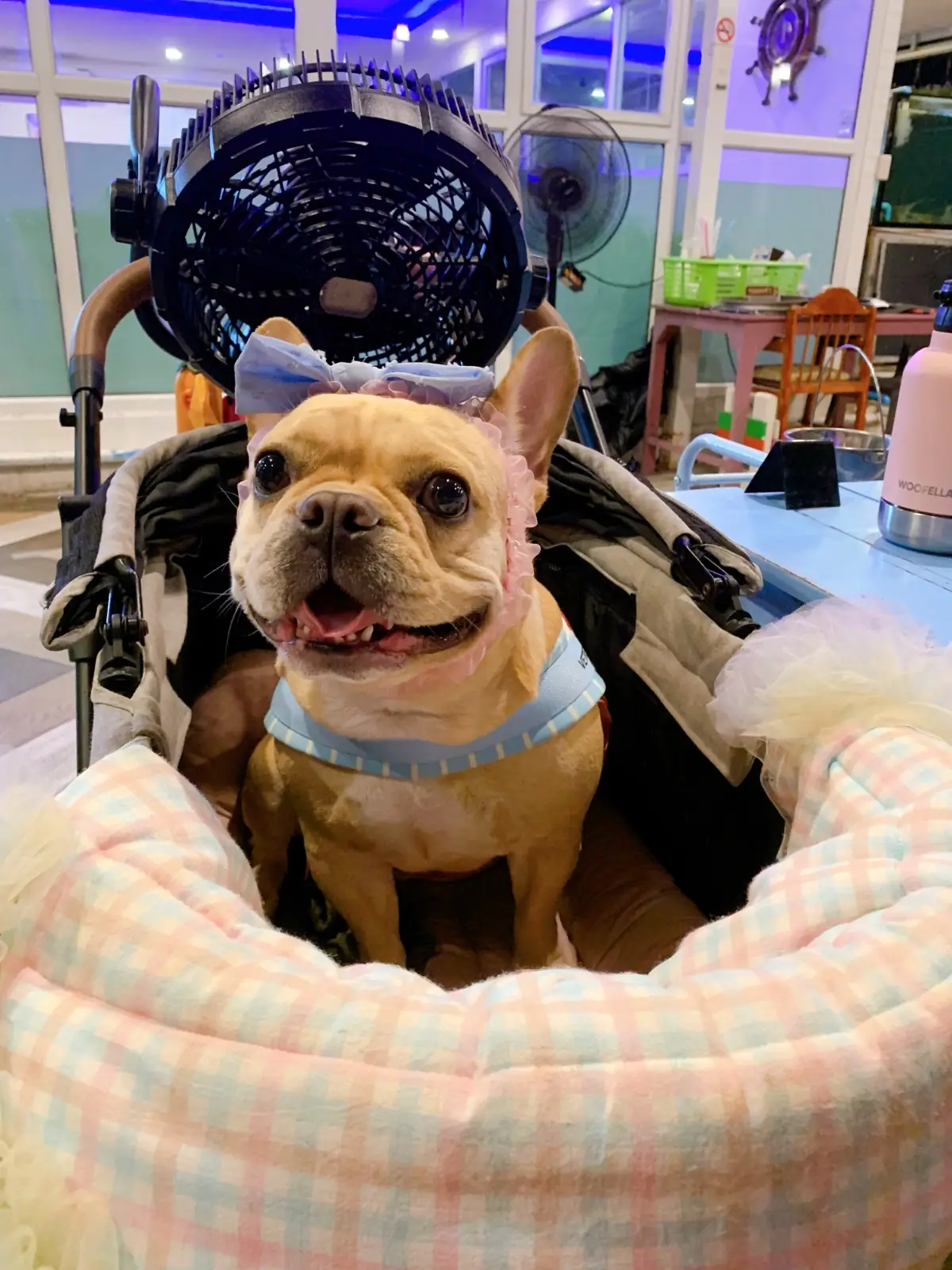 View D Seafood other image 3