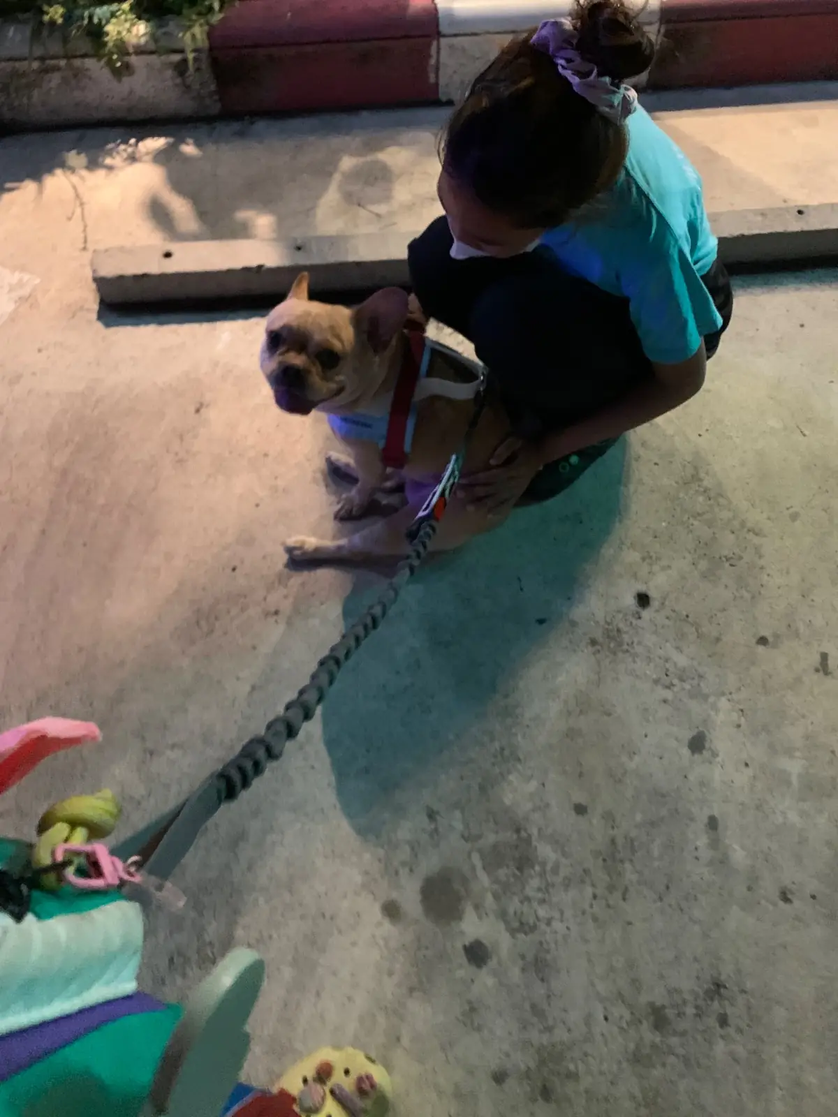 View D Seafood other image 4