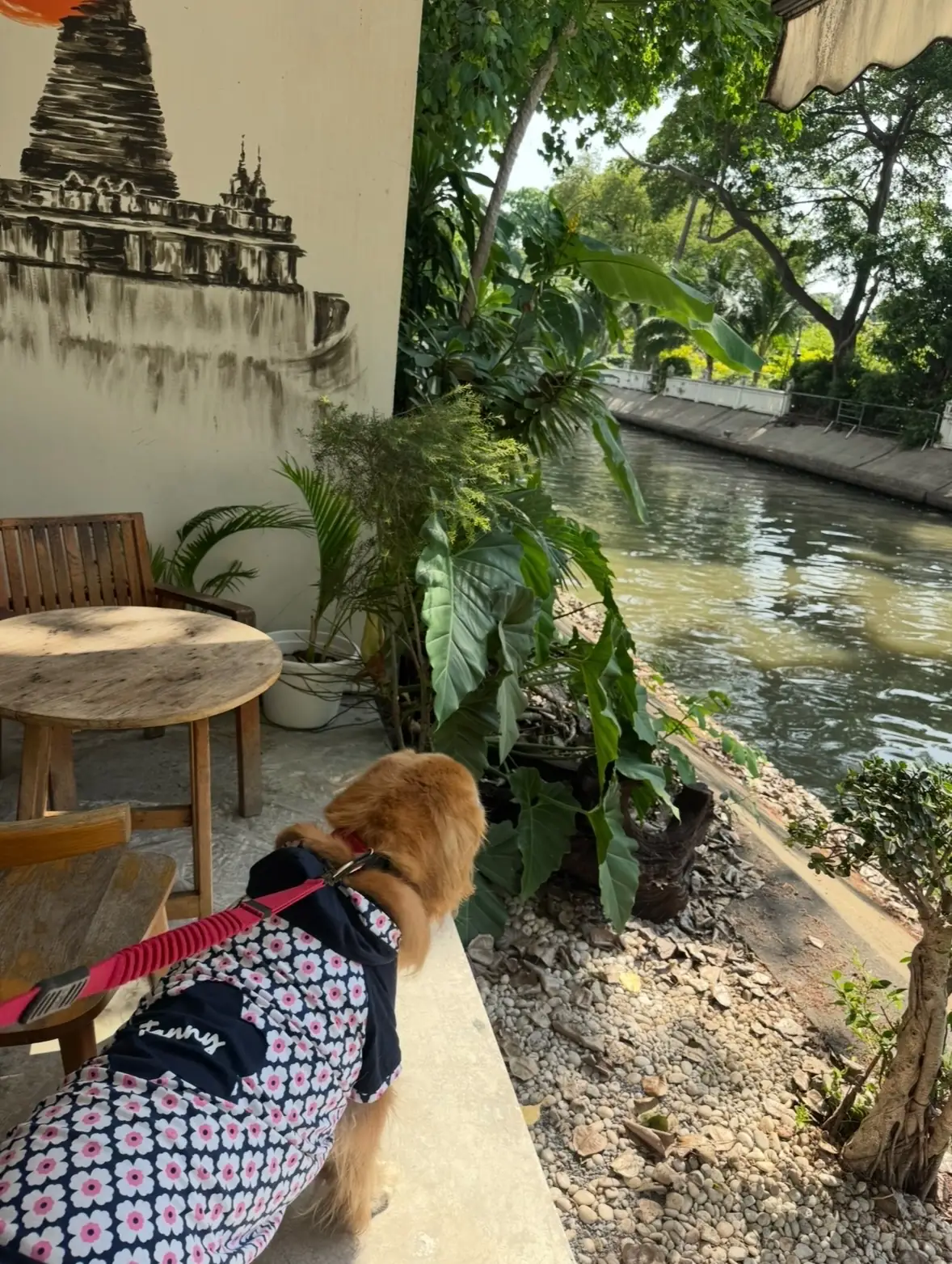 เจดีย์คาเฟ่แอนด์บาร์ overall image 1