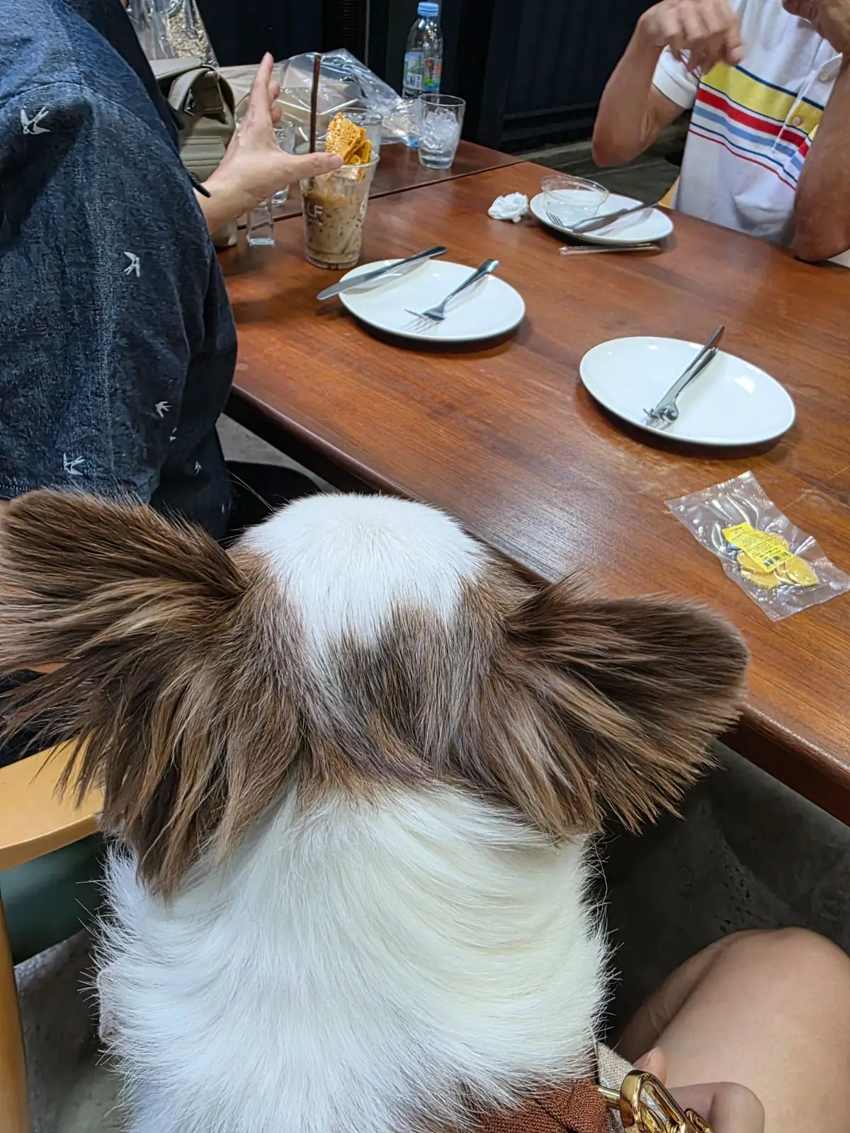 Wolf Croissanterie - CDC other image 2