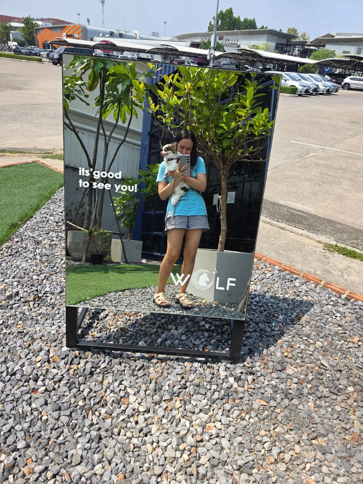 Wolf Croissanterie - CDC other image 3