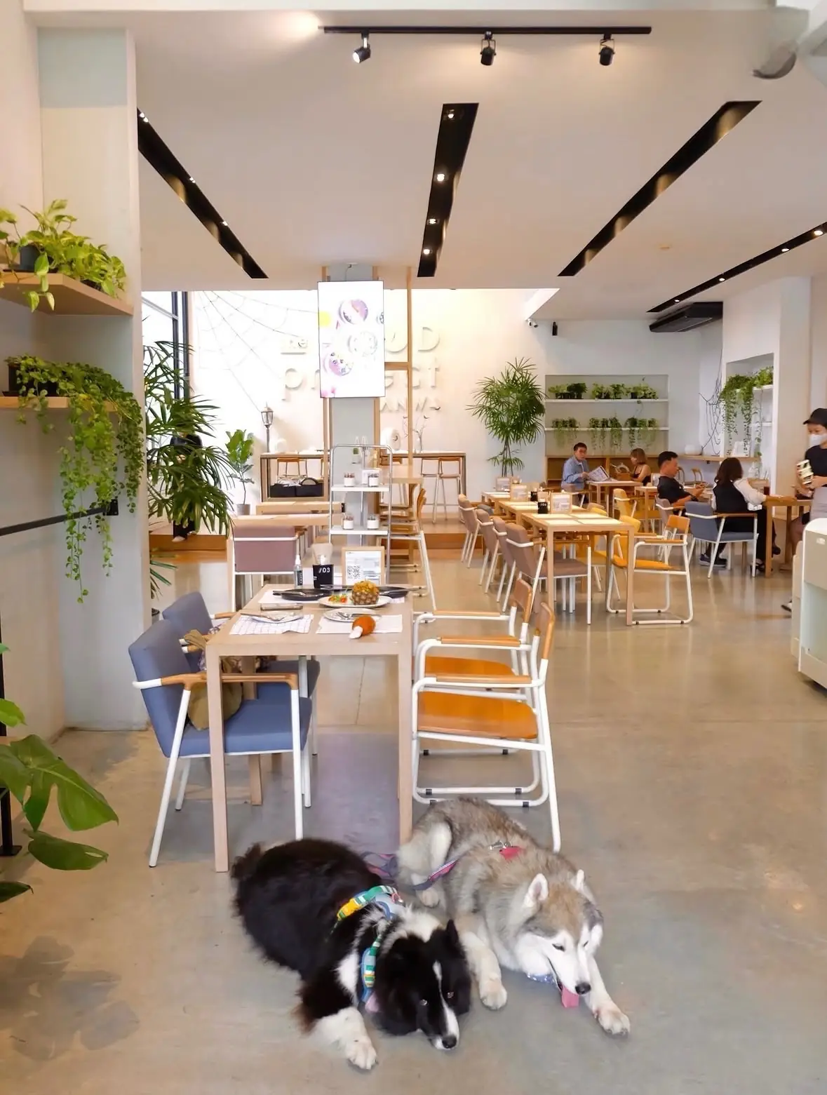 Tanwa: The Food Project HQ overall image 4