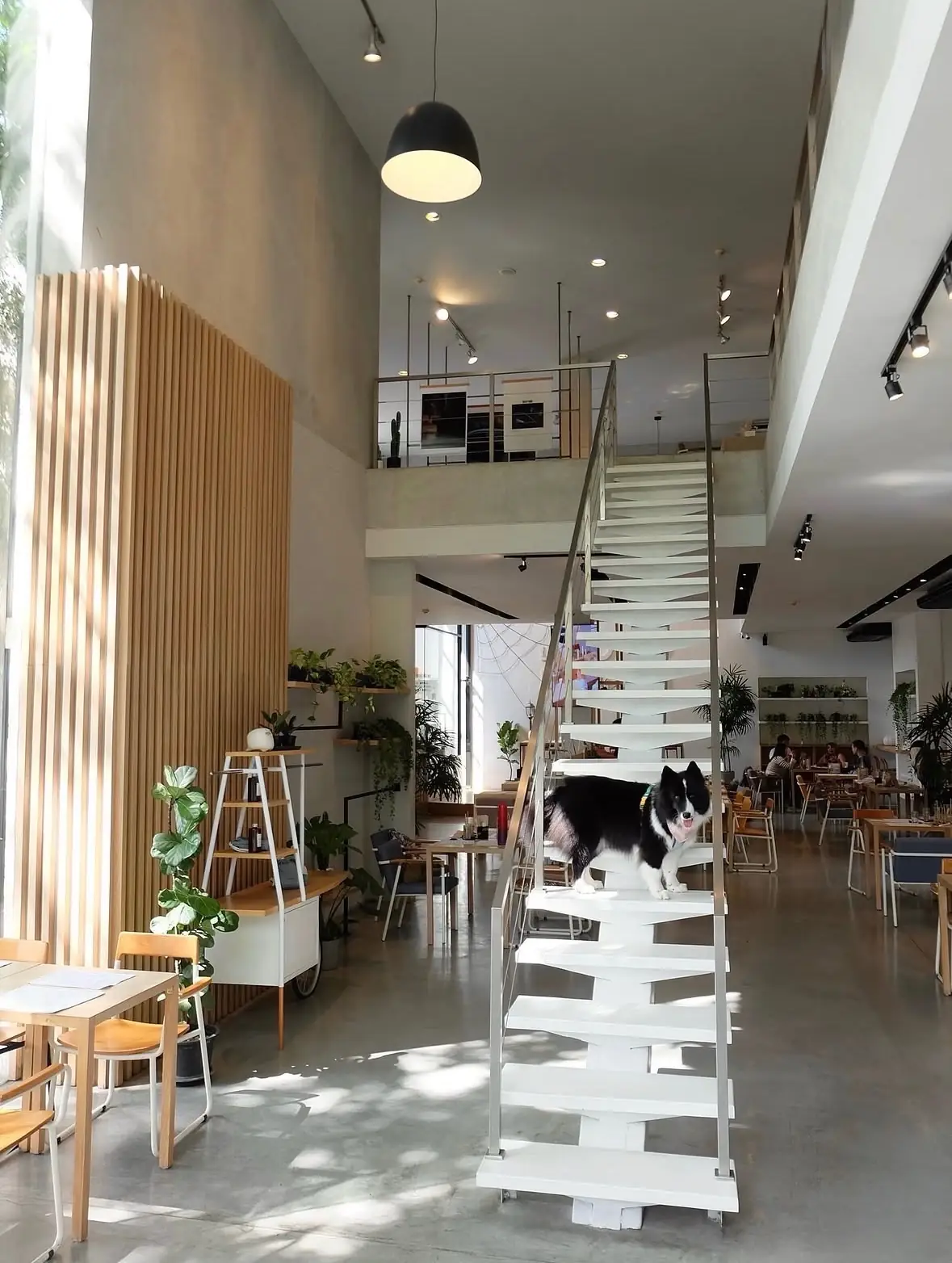 Tanwa: The Food Project HQ overall image 3