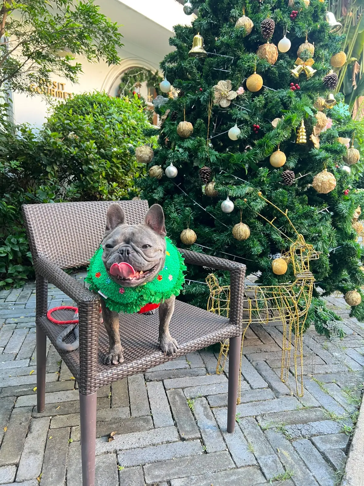 Dusit Gourmet - Baan Dusit Thani other image 5