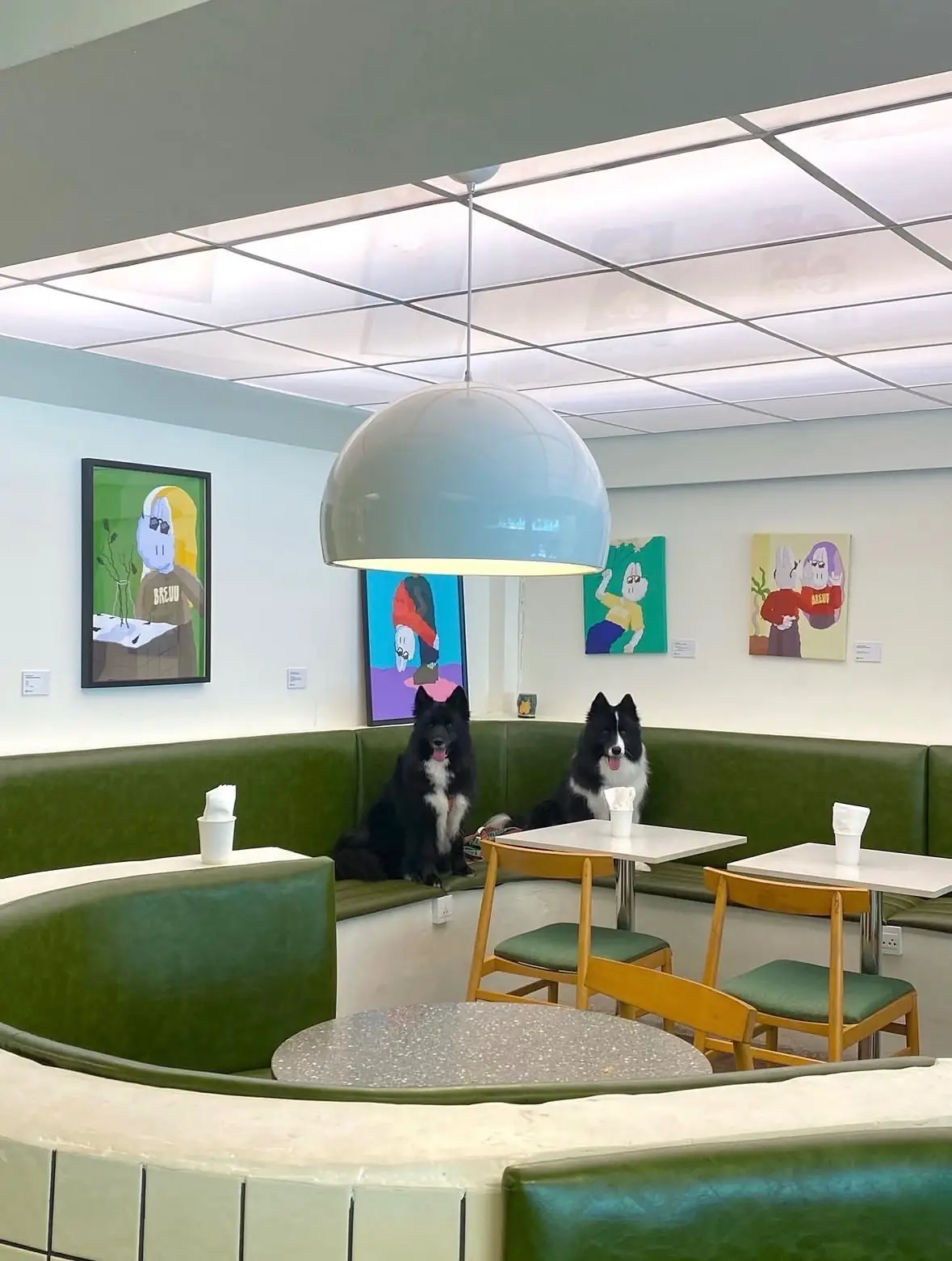 Sea and San pets image 2