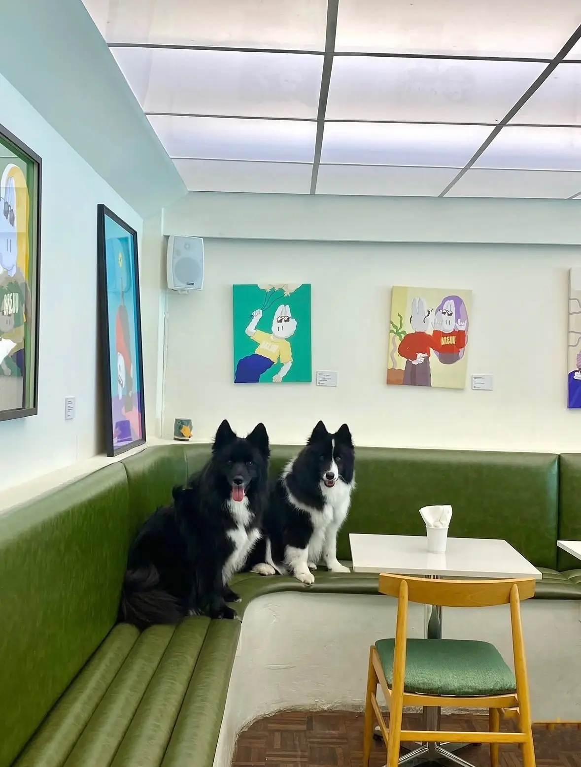 Sea and San pets image 1