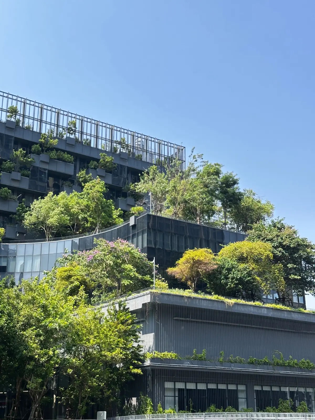 % Arabica - True Digital Park ambiance image 2