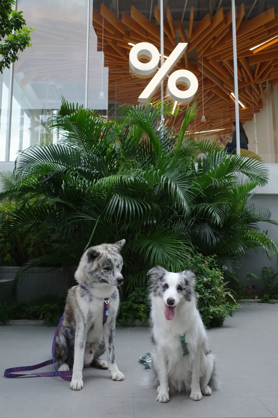 % Arabica - True Digital Park ambiance image 1