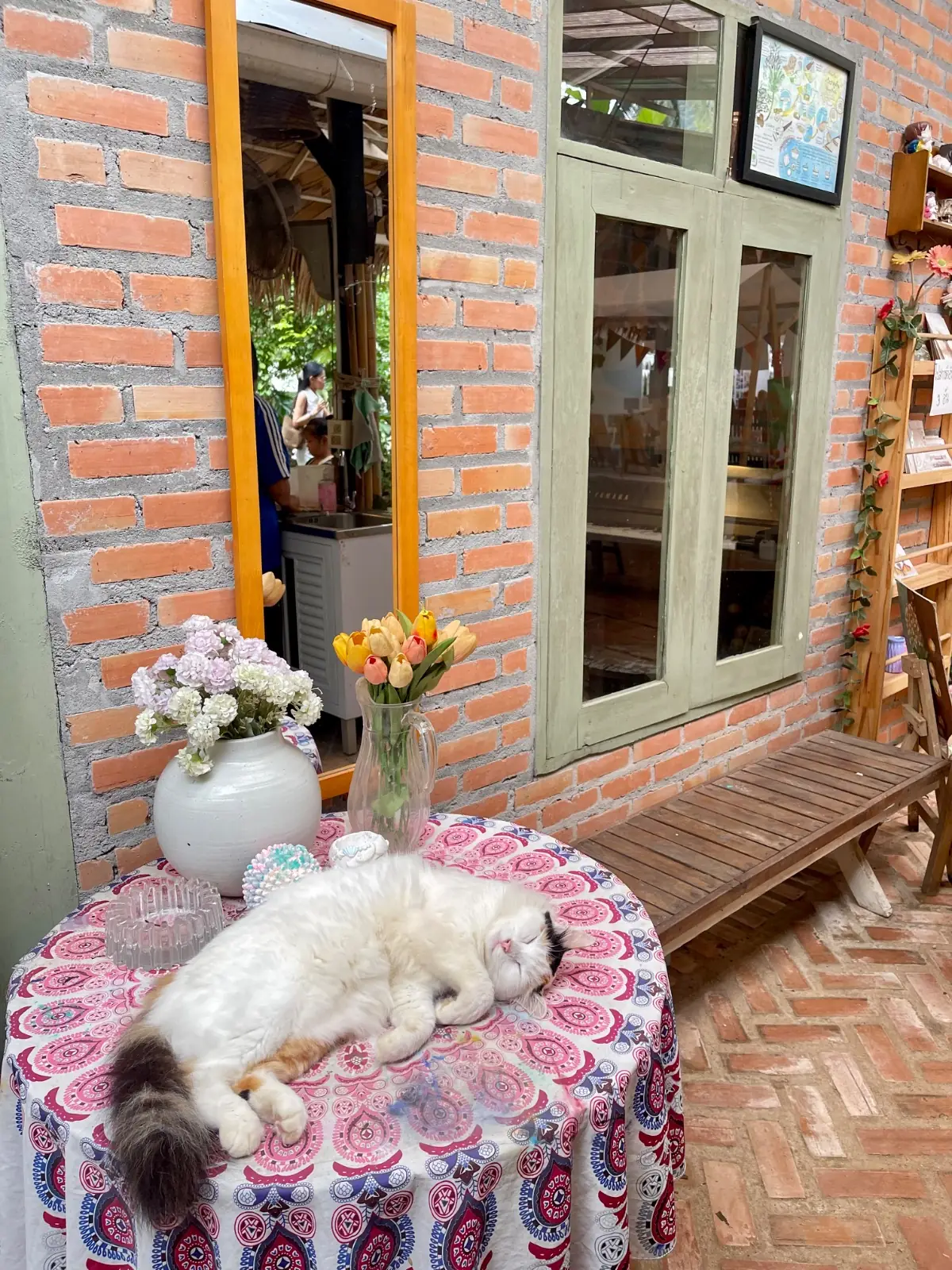 ในสวนศรี pets image 1