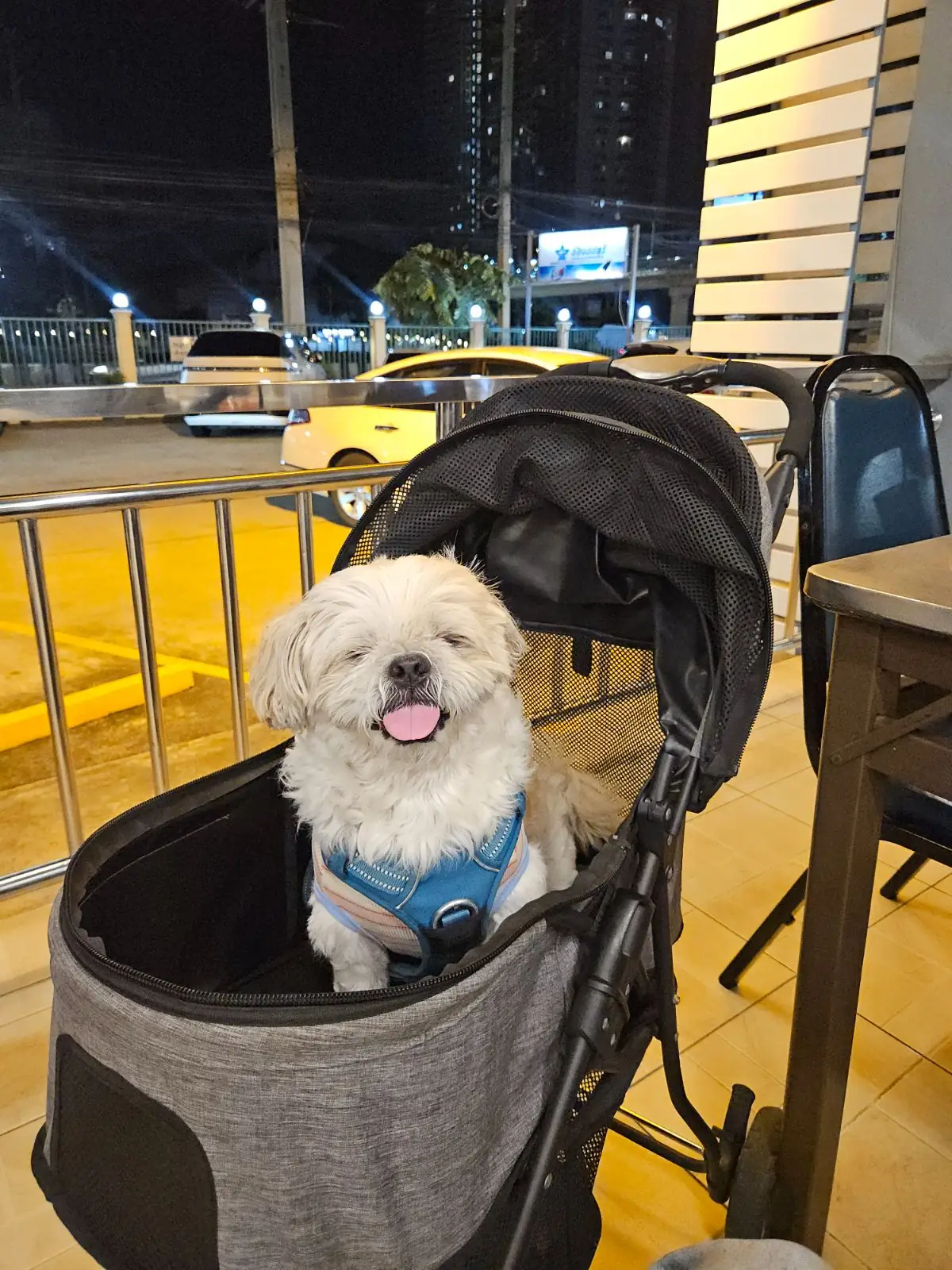 หัวปลาช่องนนทรี - Rama III other image 1