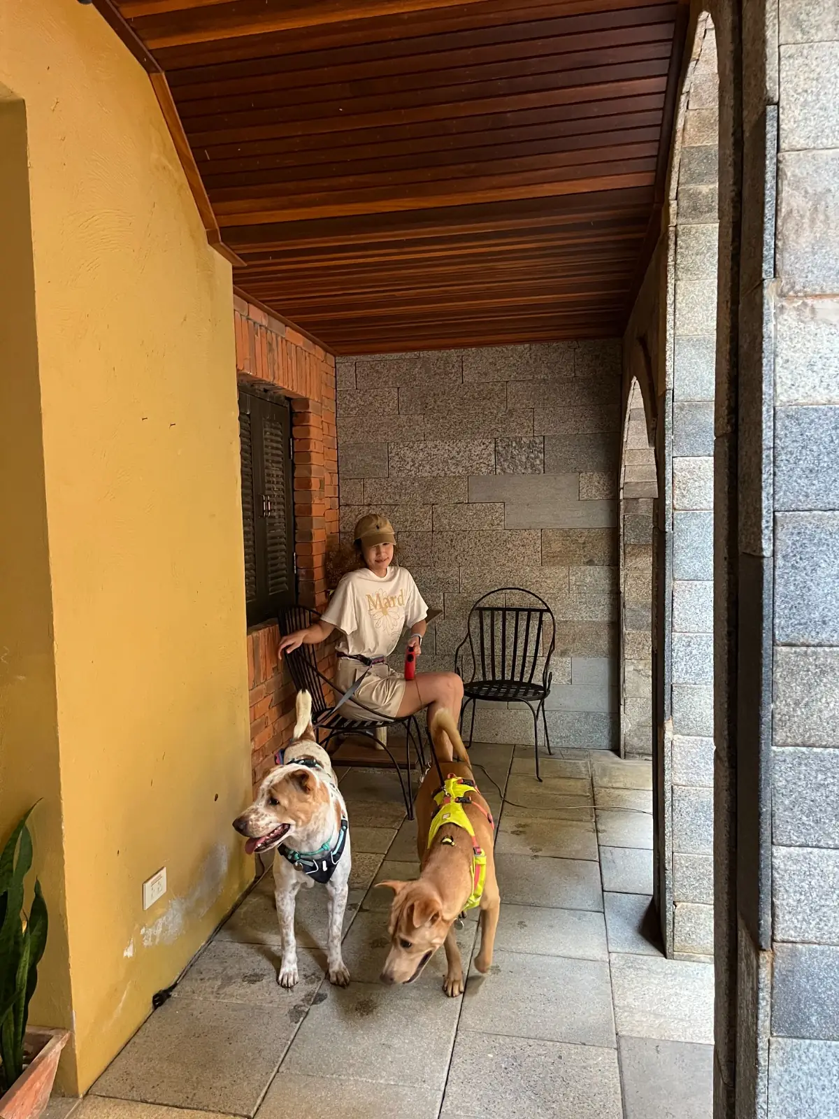 ยุ้งข้าว เขาใหญ่ pets image 3