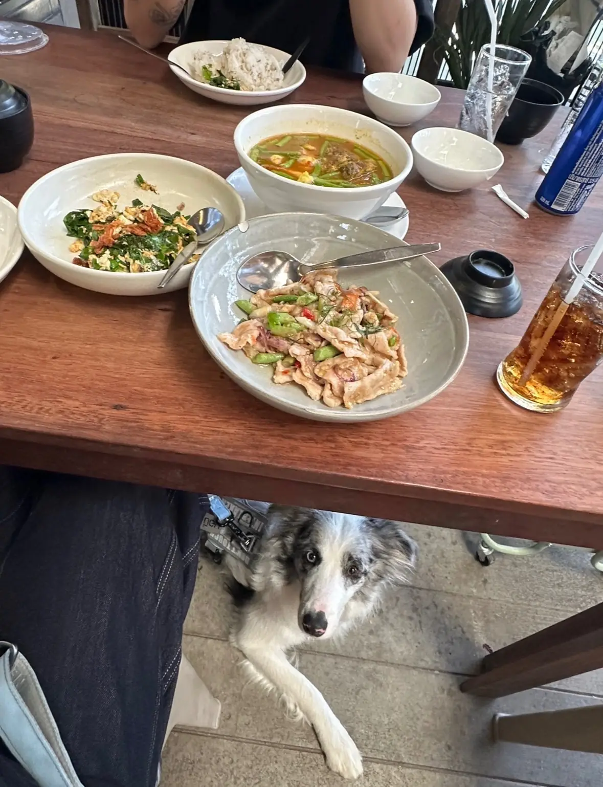 ยุ้งข้าว เขาใหญ่ pets image 2