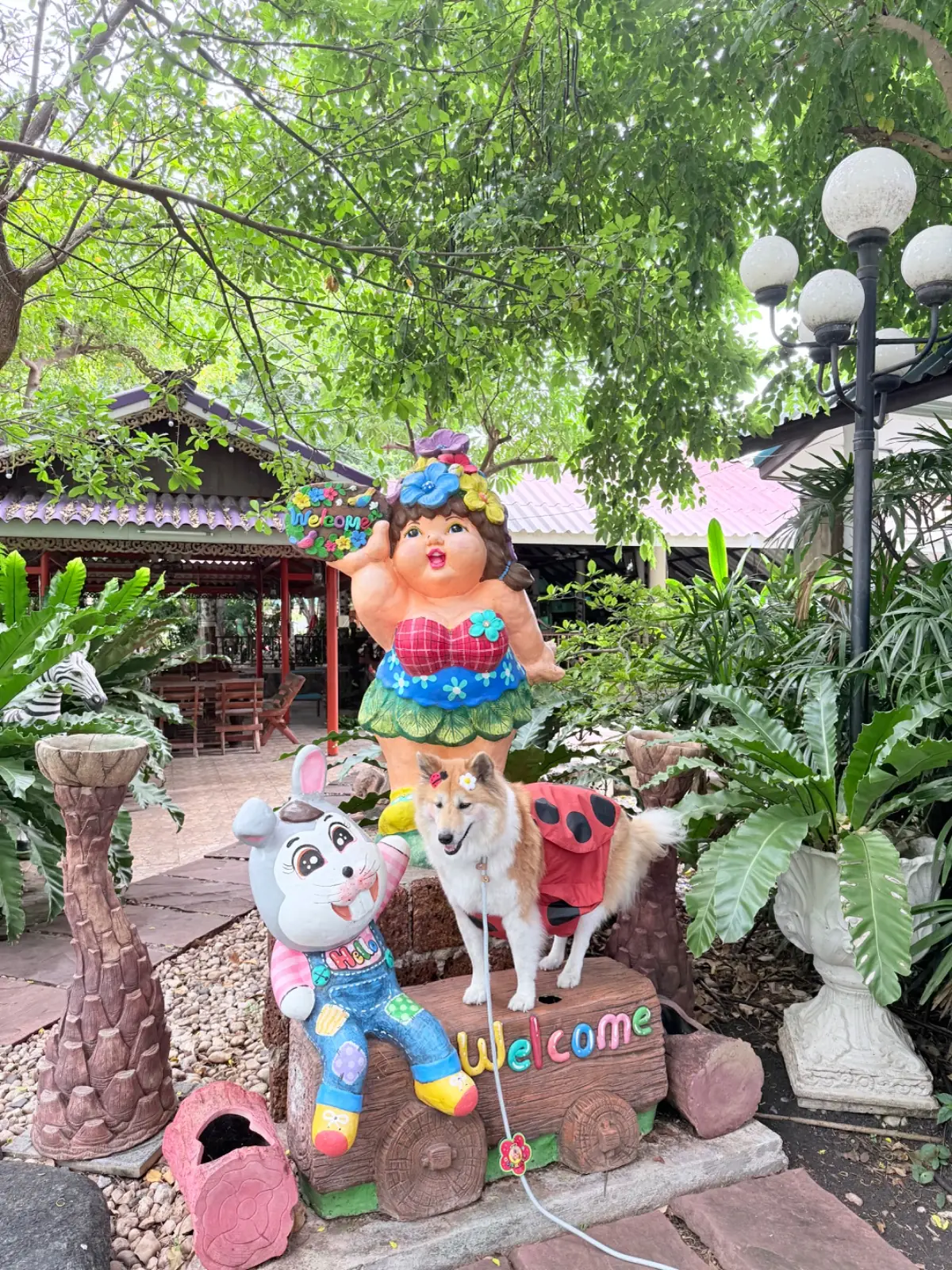 สวนอาหารล. ละอองธารทอง pets image 2