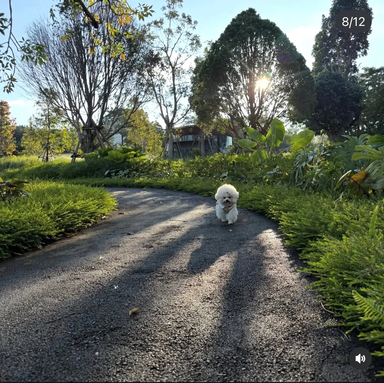 Pirom Cafe ambiance image 3