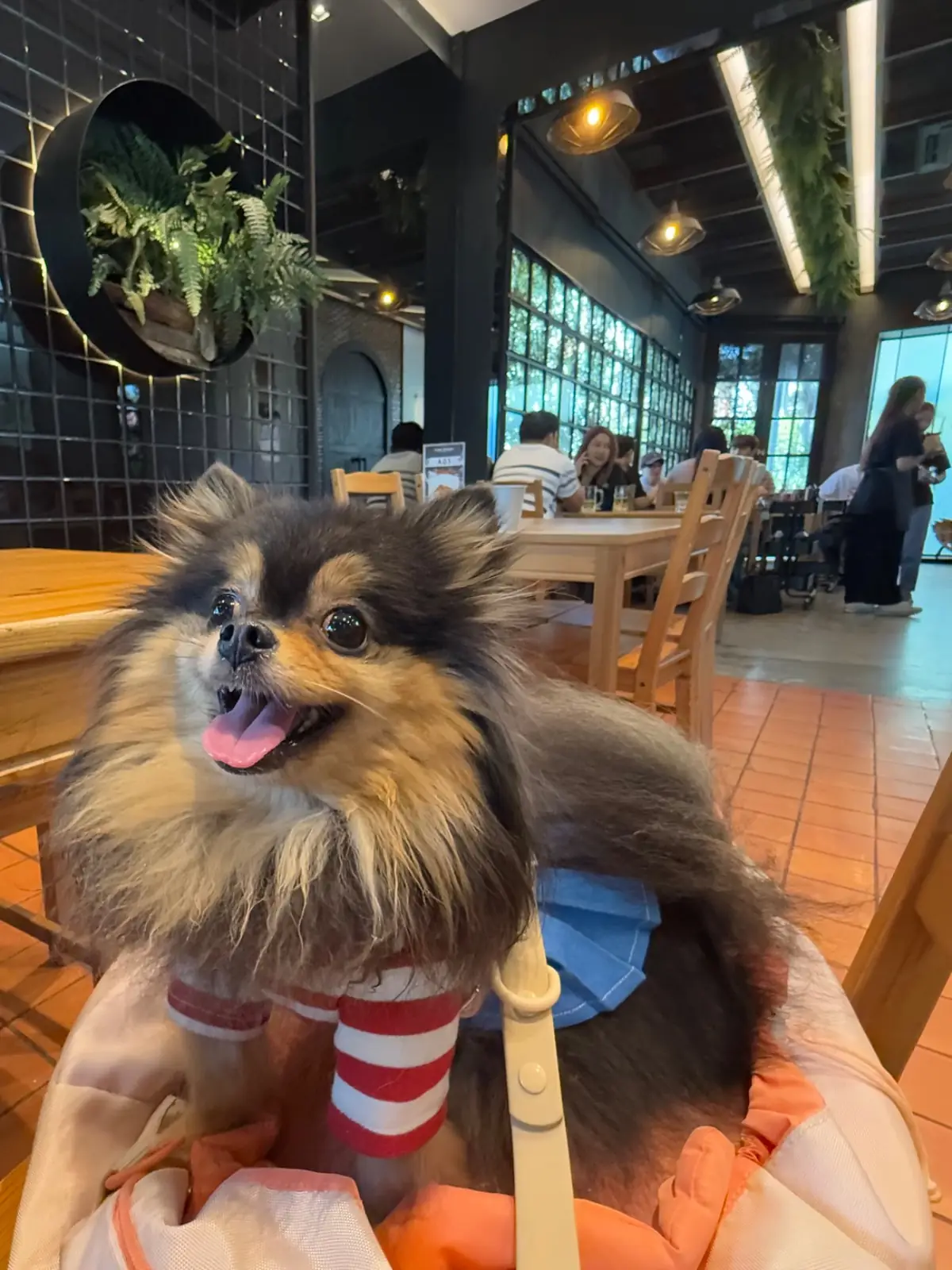 Hidden Backyard Cafe other image 2