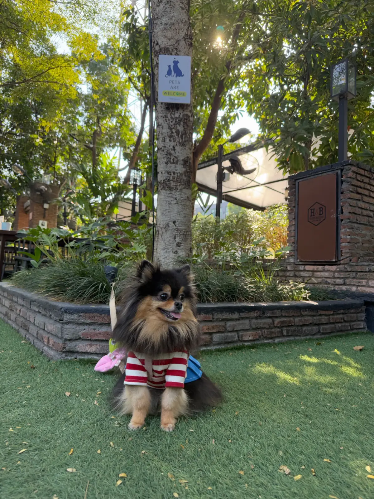 Hidden Backyard Cafe other image 4