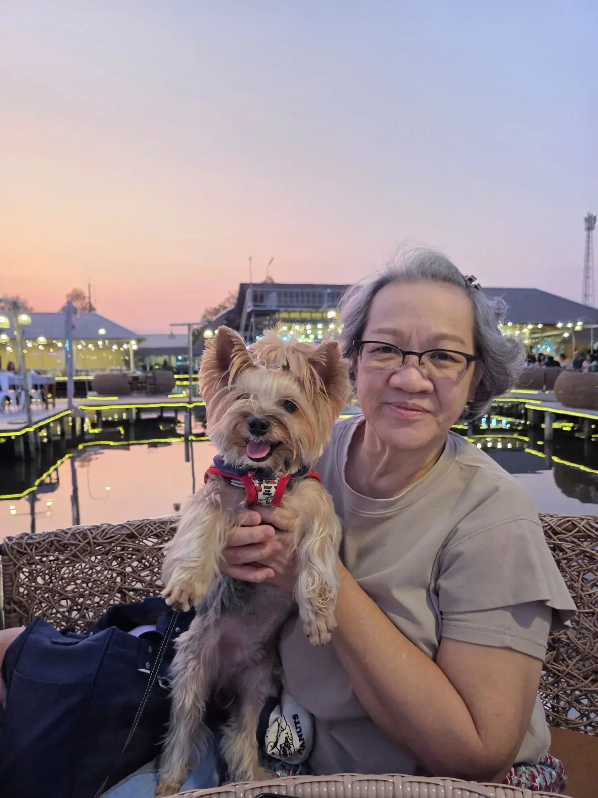 Beachy Cafe pets image 1