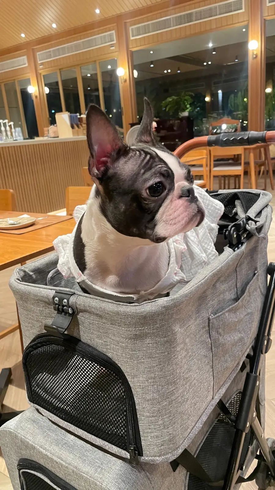 The Barnery เดอะ บาร์นเนอรี่ pets image 1