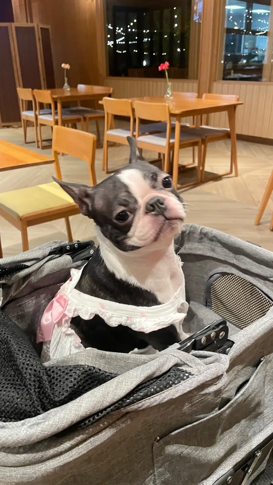 The Barnery เดอะ บาร์นเนอรี่ hero image 2