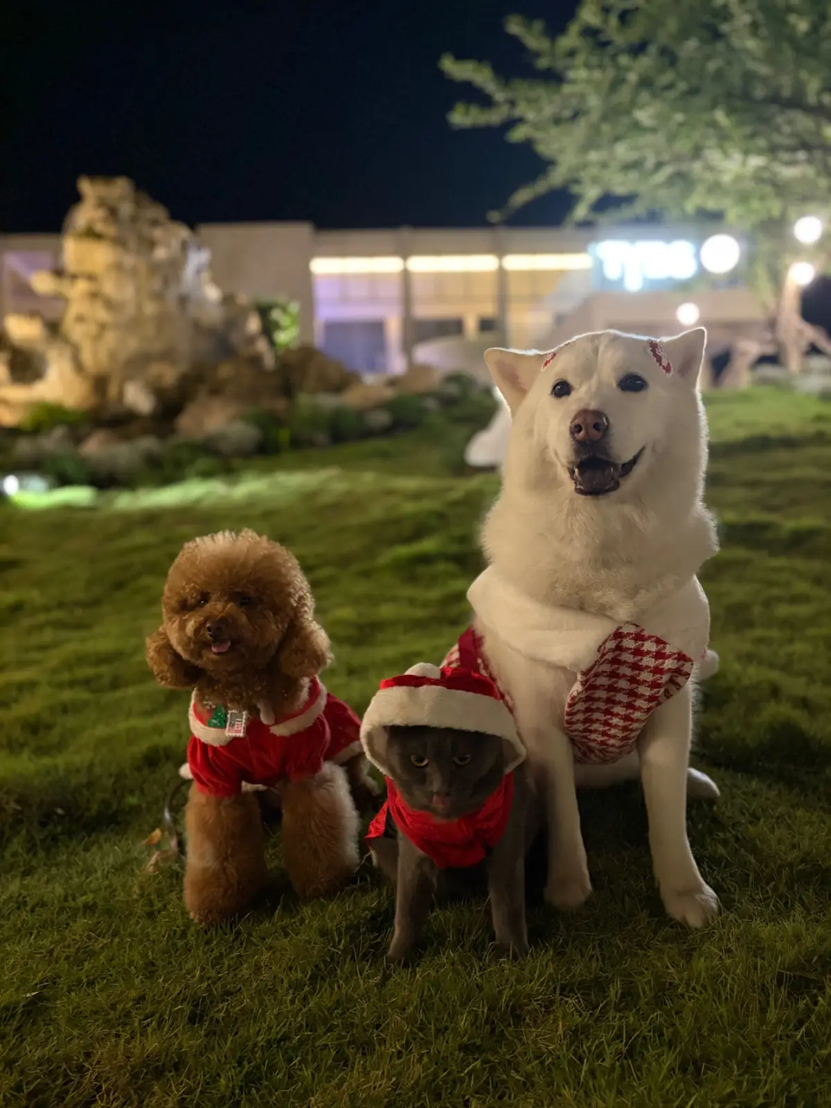 ประกาย คาเฟ่ แอนด์ คูซีน - มีนบุรี pets image 2