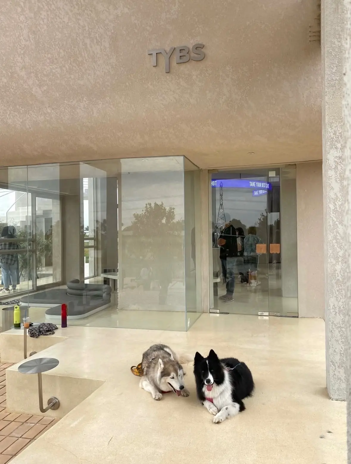 ประกาย คาเฟ่ แอน คูซีน - มีนบุรี pets image 11