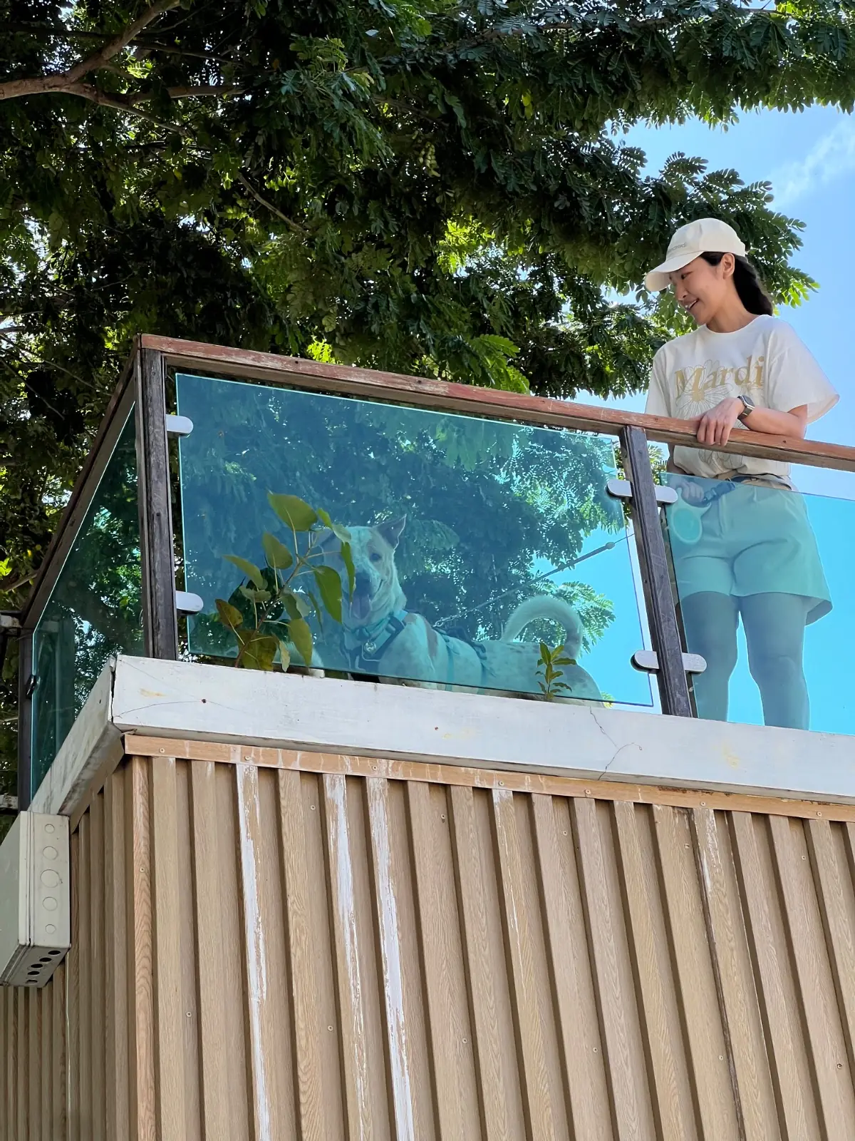 ประกาย คาเฟ่ แอนด์ คูซีน - มีนบุรี pets image 4