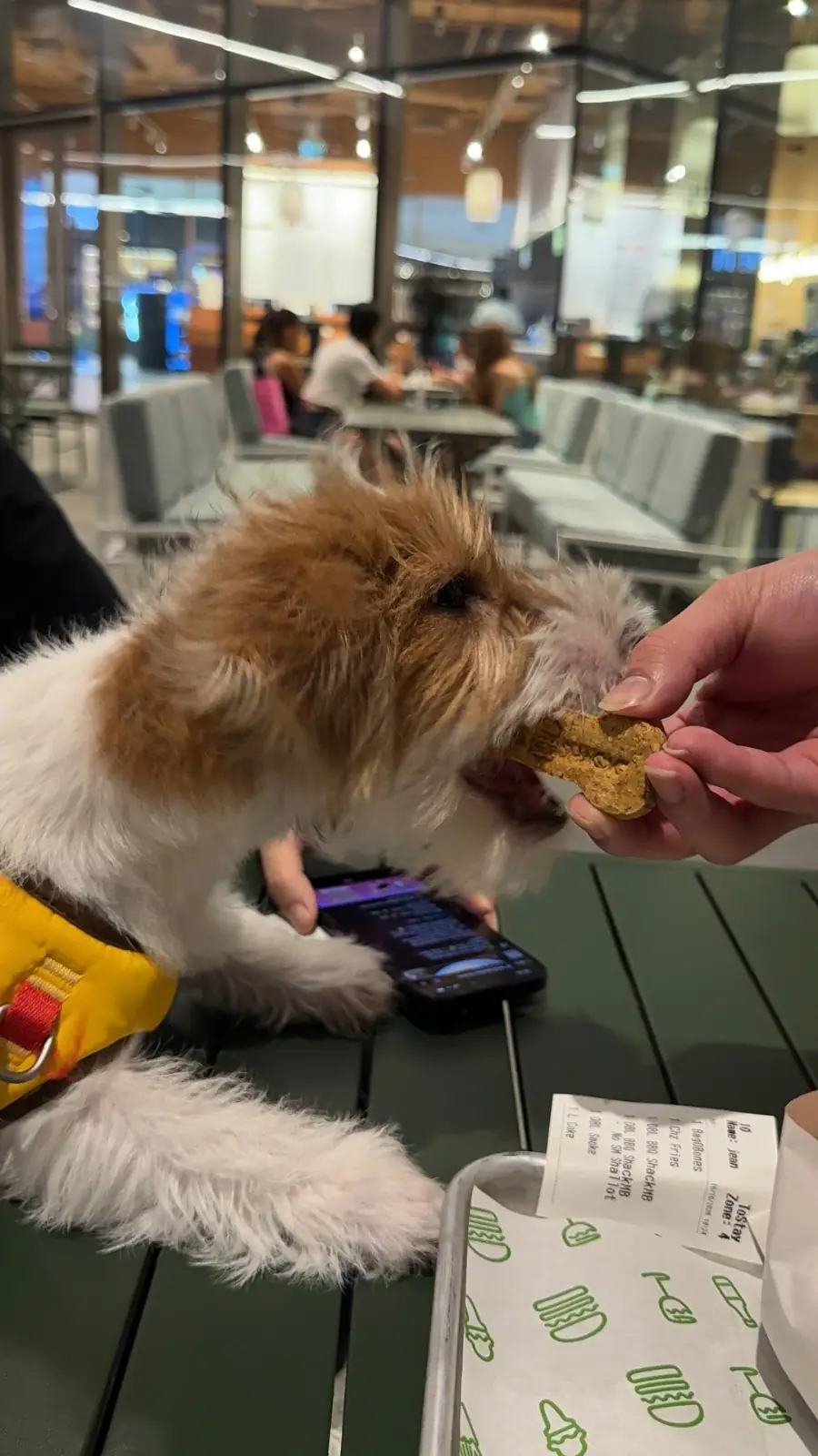 Shake Shack One Bangkok pets image 1