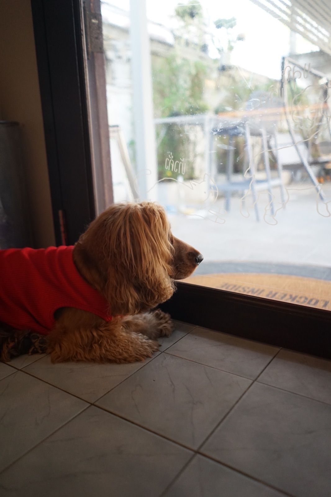 KLOR BKK hero image 4