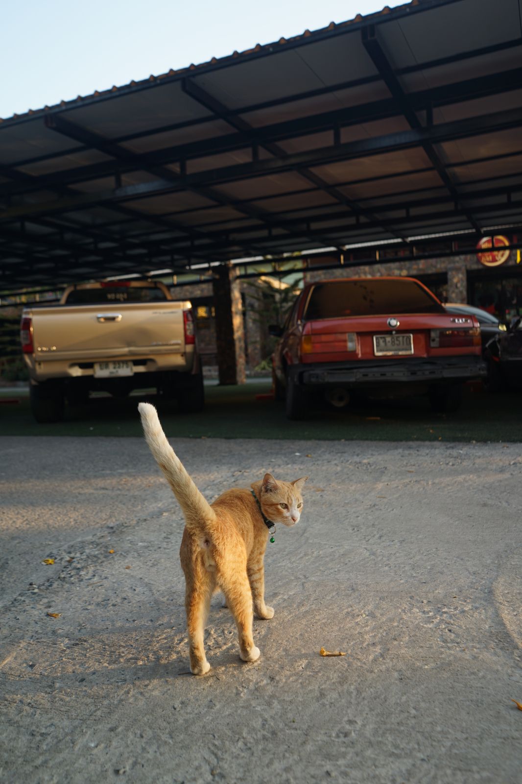 VP PARK Srinakarin hero image 8