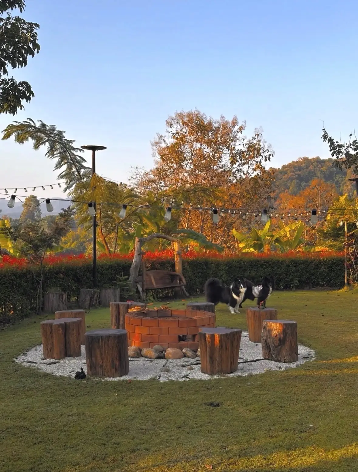 Villa de Phu amenities image 5