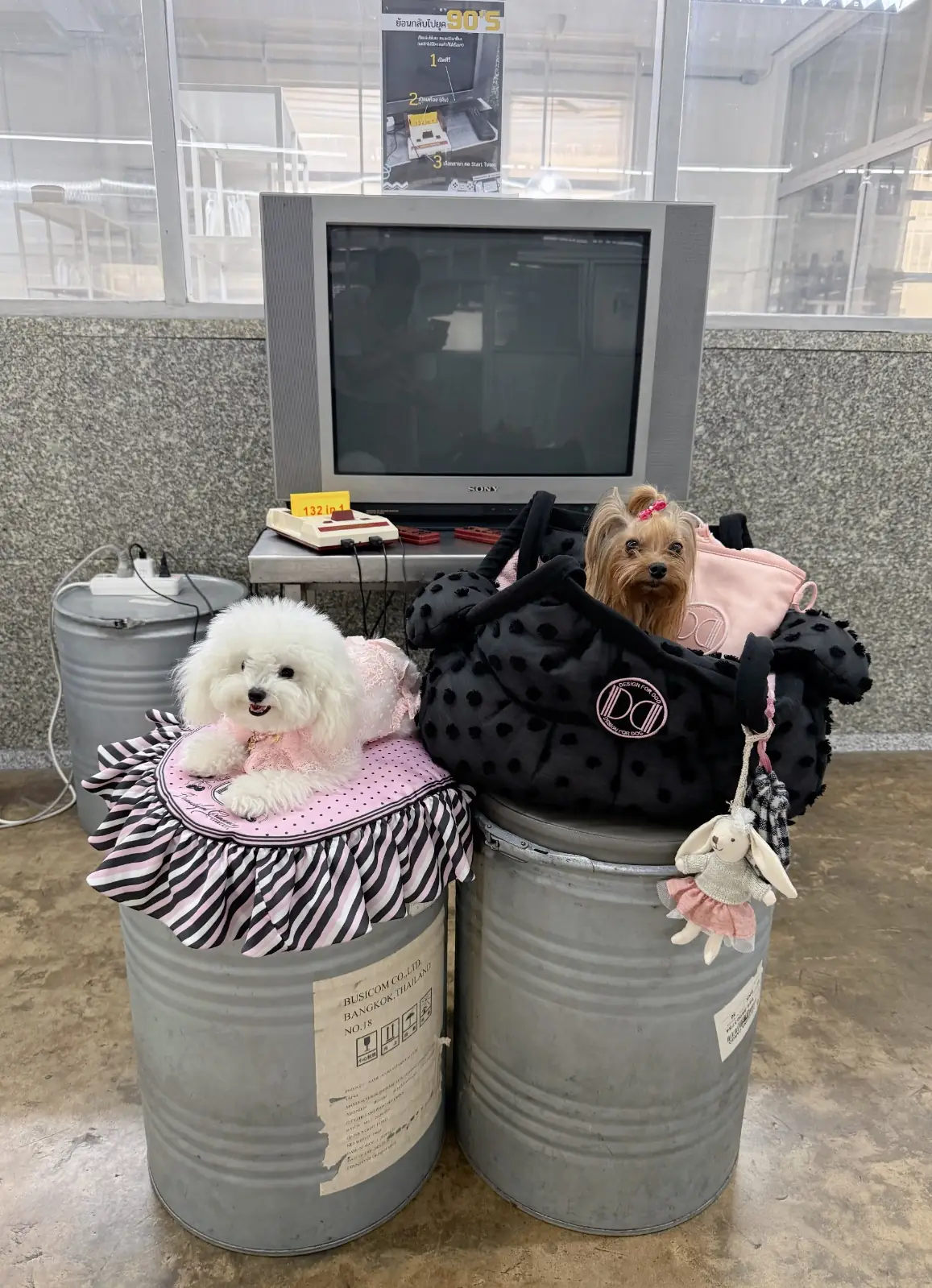 Beaker and Bitter pets image 1