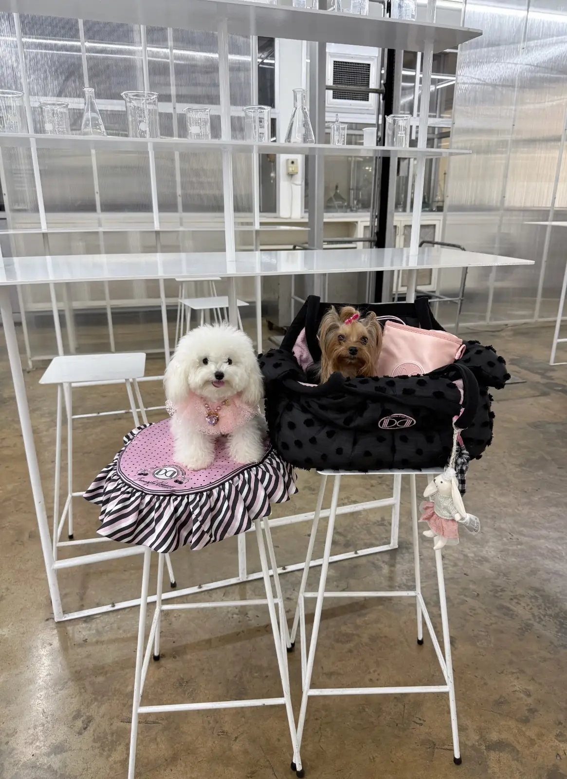 Beaker and Bitter pets image 3