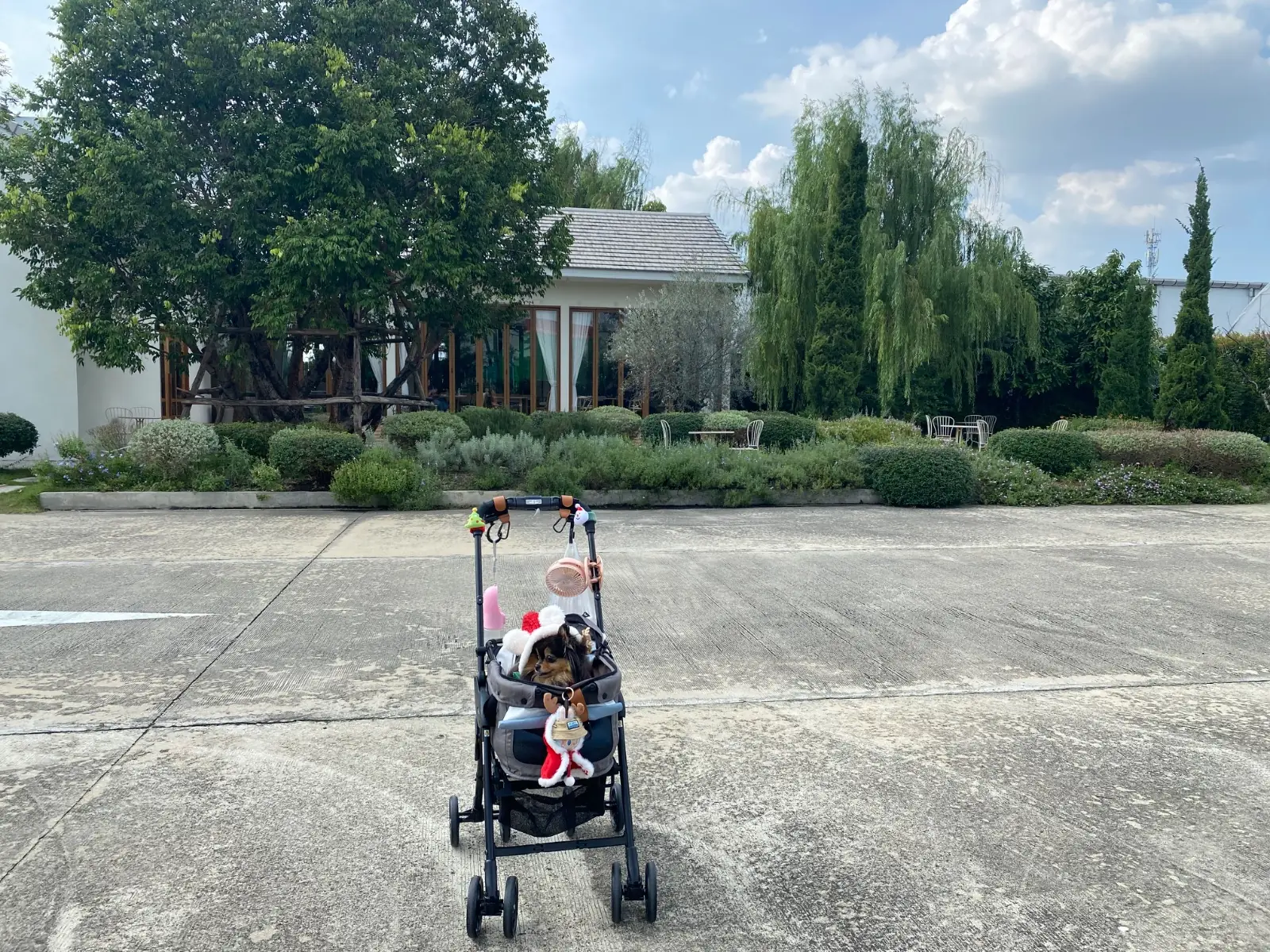 Ganicco Farm pets image 1