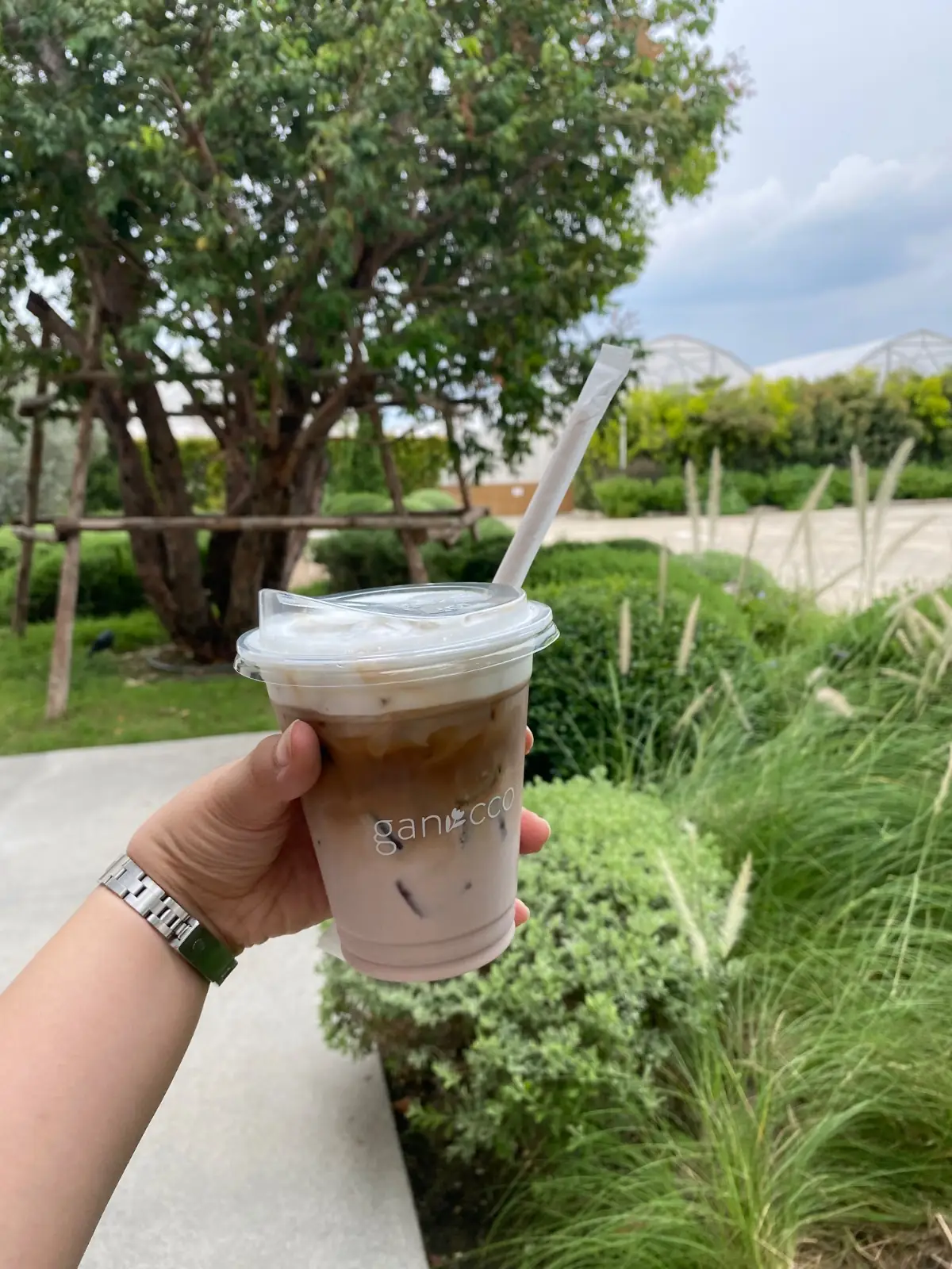 Ganicco Farm food image 4